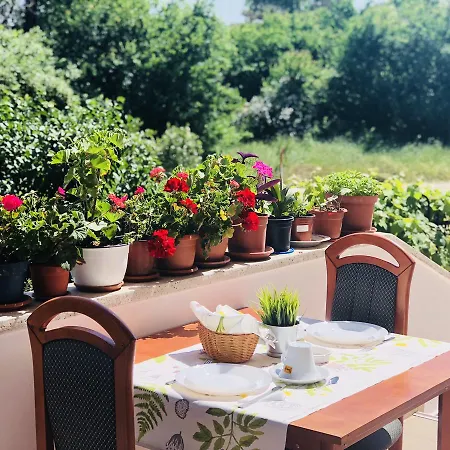 بيت ضيافة Timona Confort إيفوري نورد