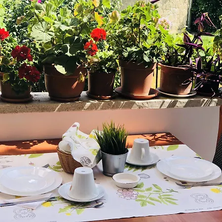 بيت ضيافة Timona Confort