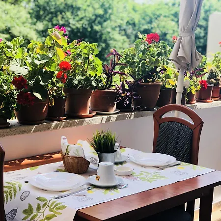 بيت ضيافة Timona Confort 3*