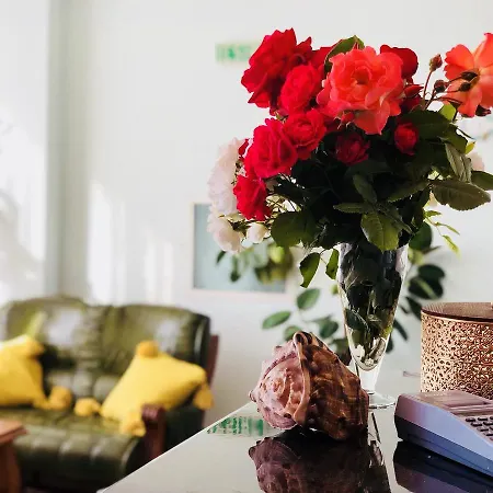 Timona Confort بيت ضيافة إيفوري نورد