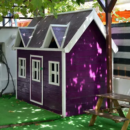 Timona Confort إيفوري نورد