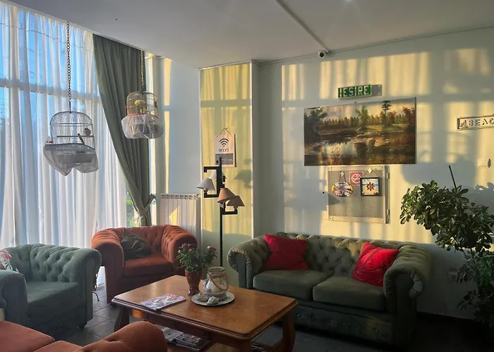 Pensiune Timona Confort 3*