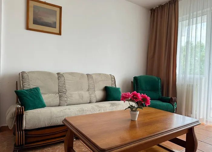 Timona Confort Pensiune Eforie Nord