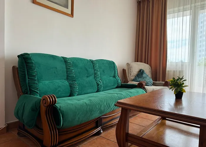 Timona Confort Pensiune