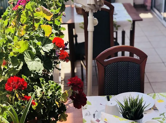 Pensiune Timona Confort