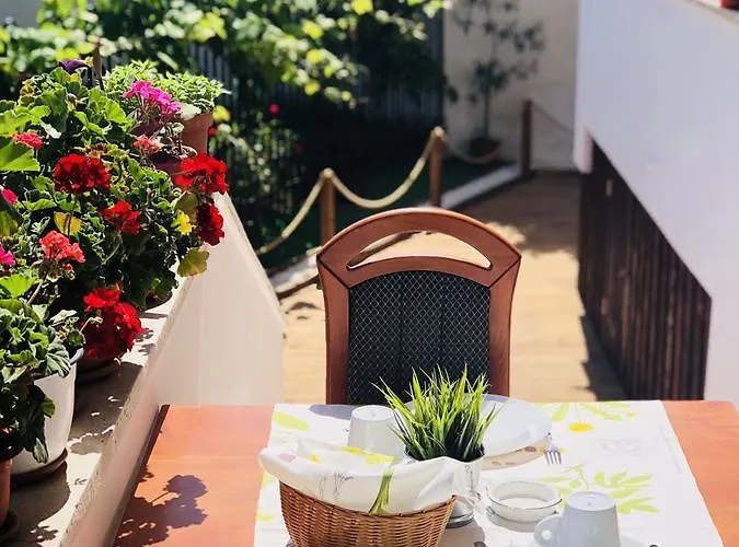 Pensiune Timona Confort Eforie Nord