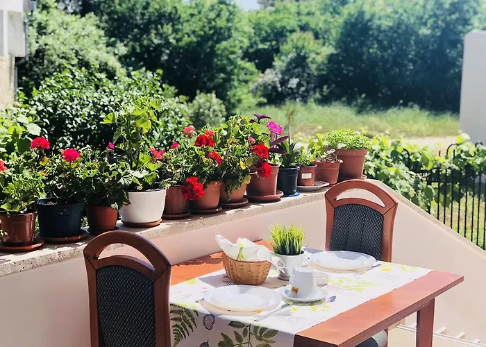 Pensiune Timona Confort Eforie Nord