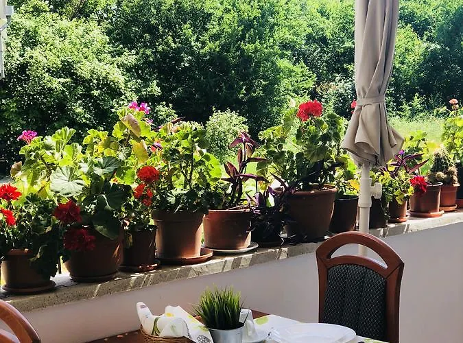 Timona Confort Pensiune 3*