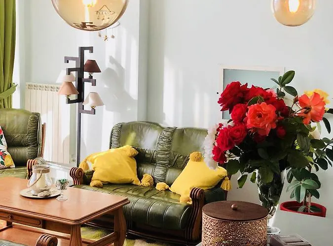 Timona Confort Eforie Nord