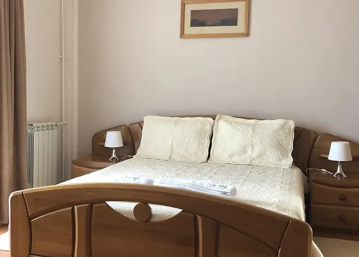 Timona Confort Pensiune