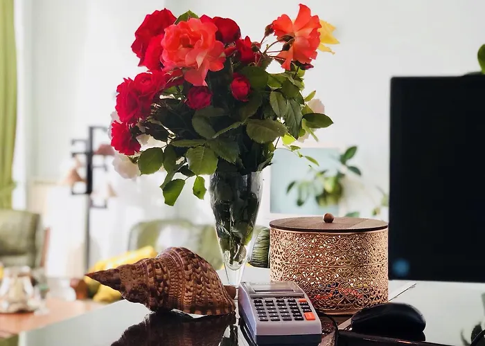 Timona Confort 3* Eforie Nord