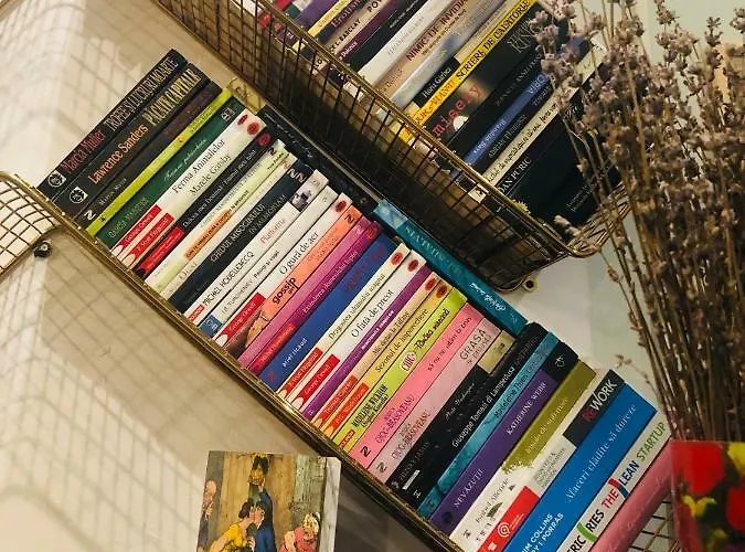 Timona Confort Eforie Nord