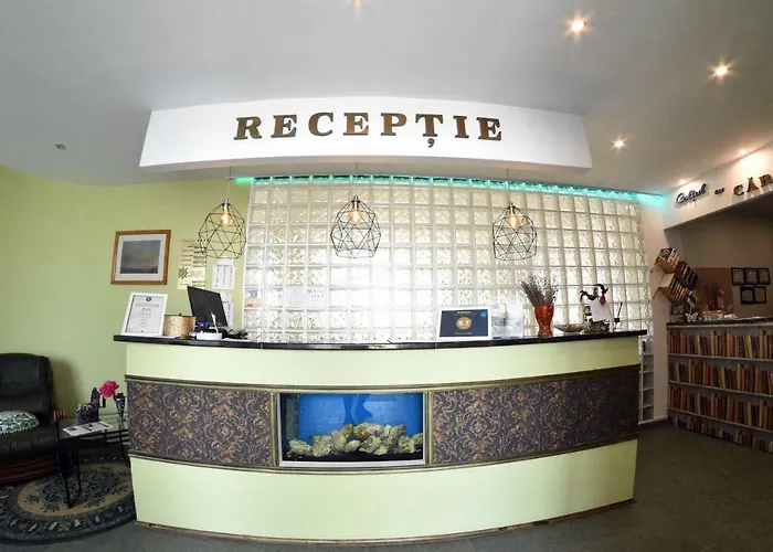 Pensiune Timona Confort 3*