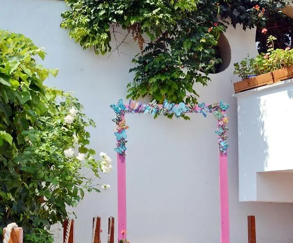 Pensiune Timona Confort