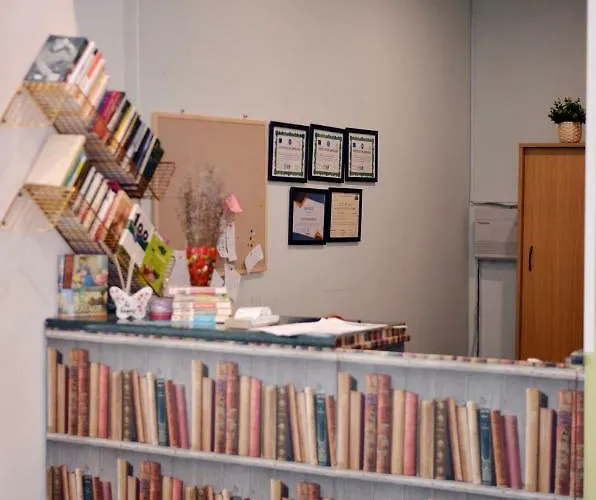 Pensiune Timona Confort