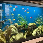 招待所 Timona Confort