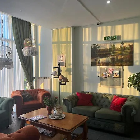 Pensionat Timona Confort 3*