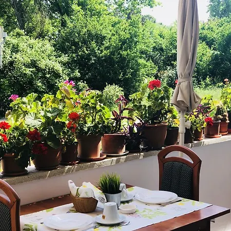 Timona Confort Pensionat 3*