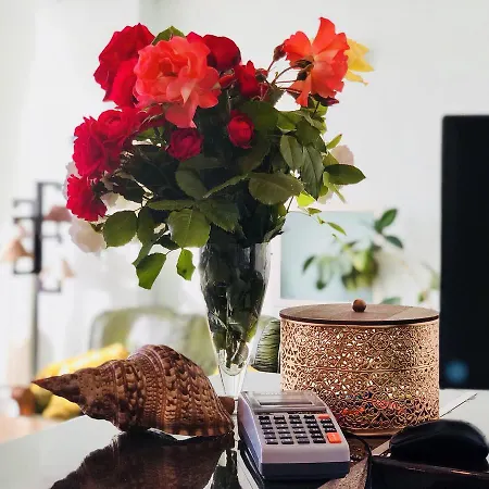 Timona Confort 3* 데포리노드