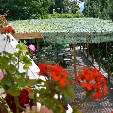 게스트하우스 Timona Confort