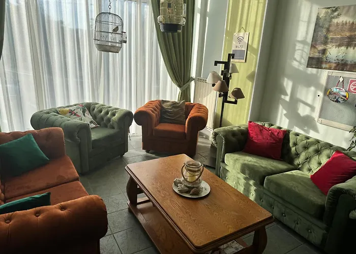 Timona Confort Eforie Nord