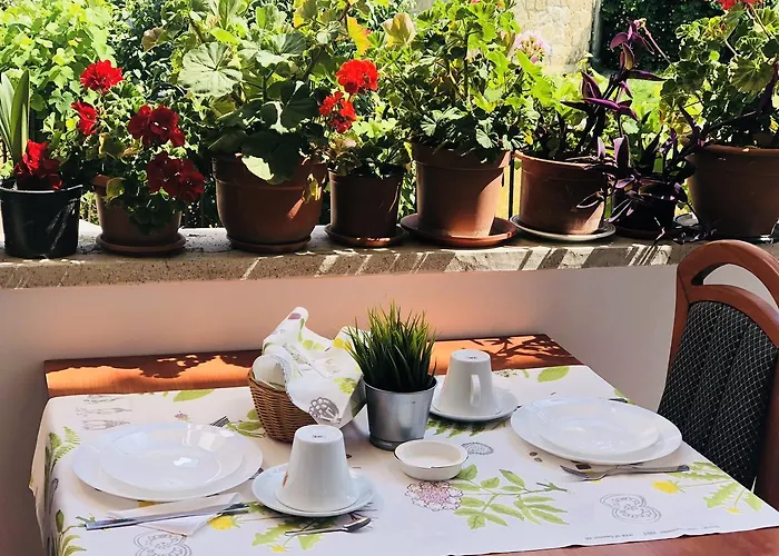 Gasthuis Timona Confort