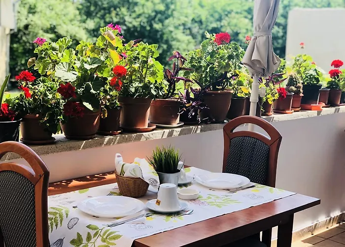 Gasthuis Timona Confort 3*