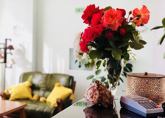 Timona Confort Gasthuis Eforie Nord