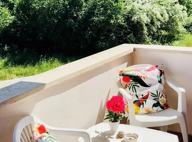 Timona Confort Gasthuis