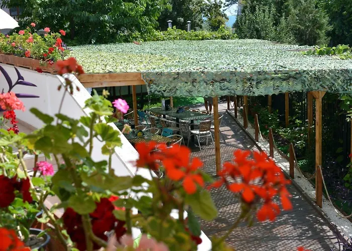 Gasthuis Timona Confort